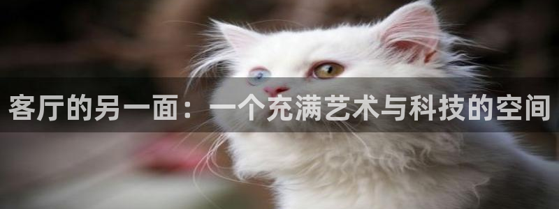 南瓜电影apk：客厅的另一面：一个充满艺术与科技的空间