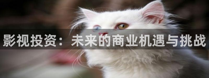 南瓜电影完整免费观看：影视投资：未来的商业机遇与挑战